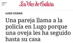 Enlace a Momentos de tensión en Lugo