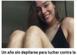 Enlace a Activista de sofá