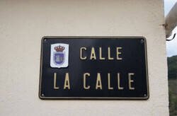 Enlace a No se comieron mucho la cabeza...