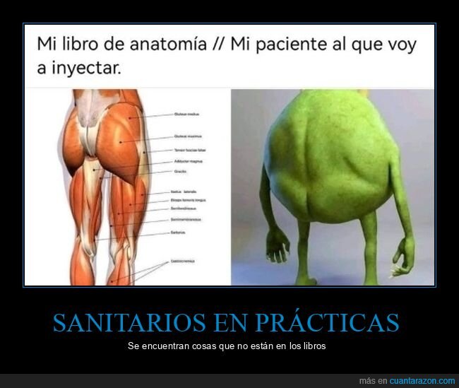libro,anatomía,paciente,cuerpo