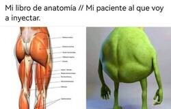 Enlace a Cuando la realidad no se corresponde con la teoría