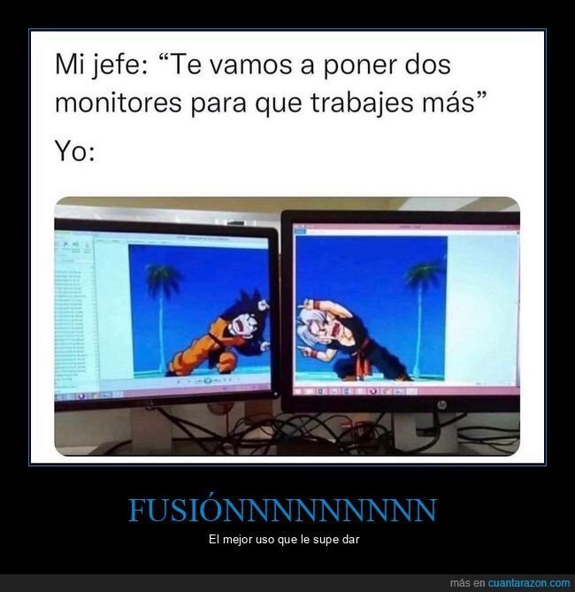 fusión,dragon ball,monitores