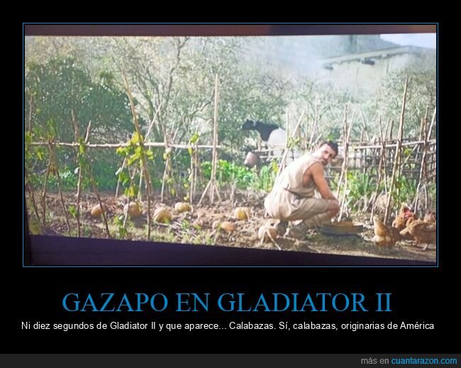 gazapo,calabazas,roma