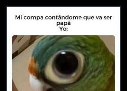 Enlace a Hay que saber encontrar oportunidades de compra