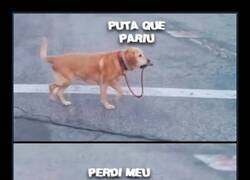 Enlace a Me estoy riendo en portugués