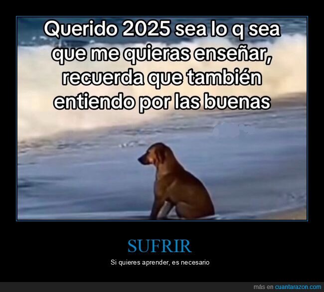 2025,enseñar