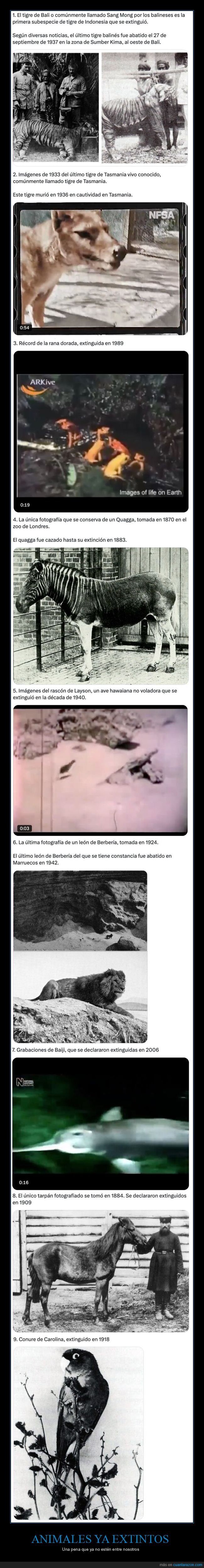 animales,extintos,hilo