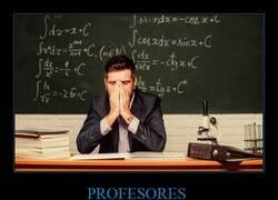 Enlace a Después se hacen adultos y siguen votando al más tonto