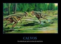 Enlace a Sería mejor que la UFC