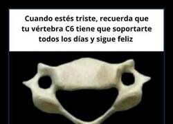 Enlace a Siempre mantiene su sonrisa