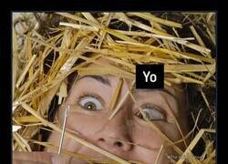 Enlace a ¿Te ha pasado?