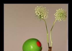 Enlace a Qué clase de fantasía es ésta