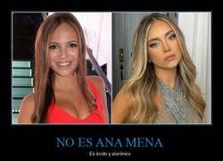 Enlace a Fan del meme