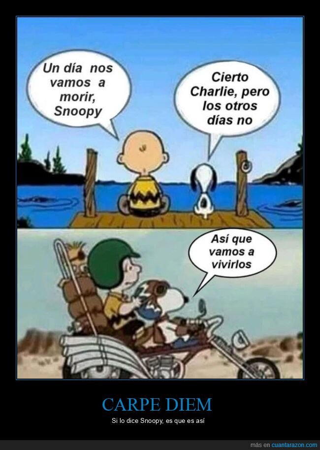 snoopy,vida,reflexion