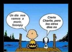 Enlace a CARPE DIEM de Snoopy