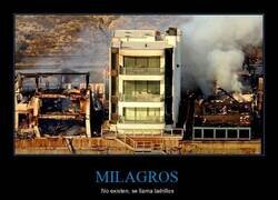 Enlace a Los milagros no existen, amigos estadounidenses