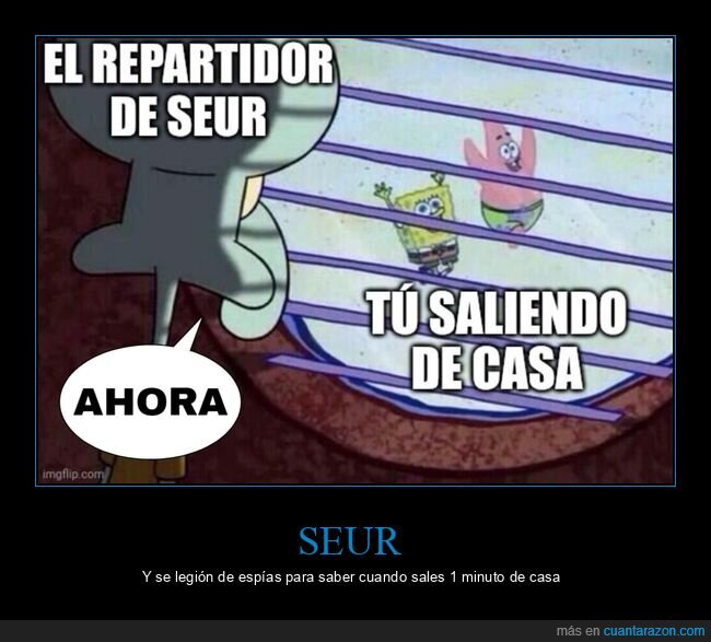 repartidor,seur,casa,calamardo