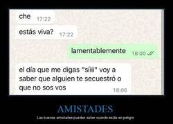 Enlace a La verdadera amistad lo sabrá