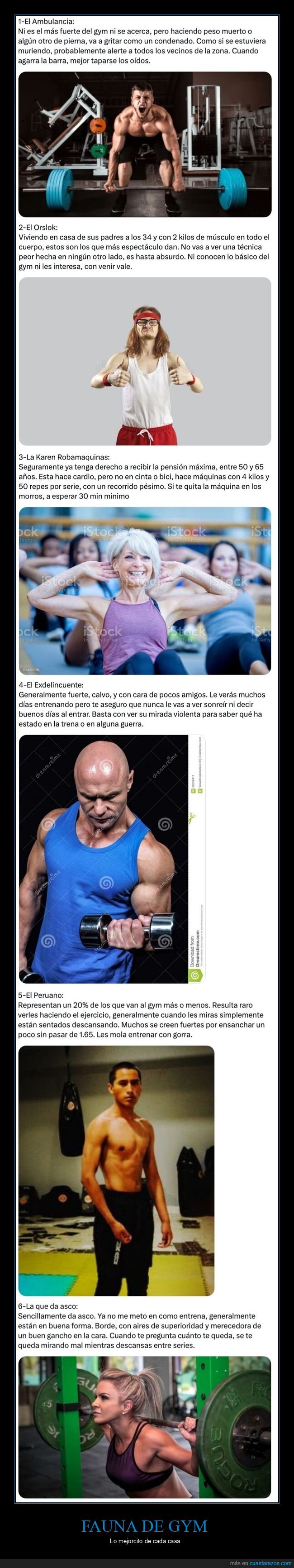 gym,barato,personajes