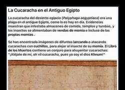 Enlace a Problemas de cucas