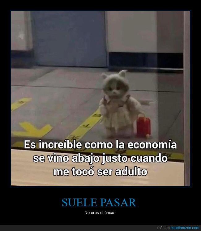 economia,madurez,adulto,arruinarse