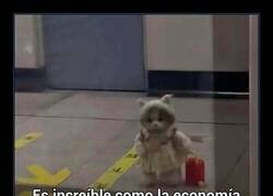 Enlace a Ser adulto es una mierda