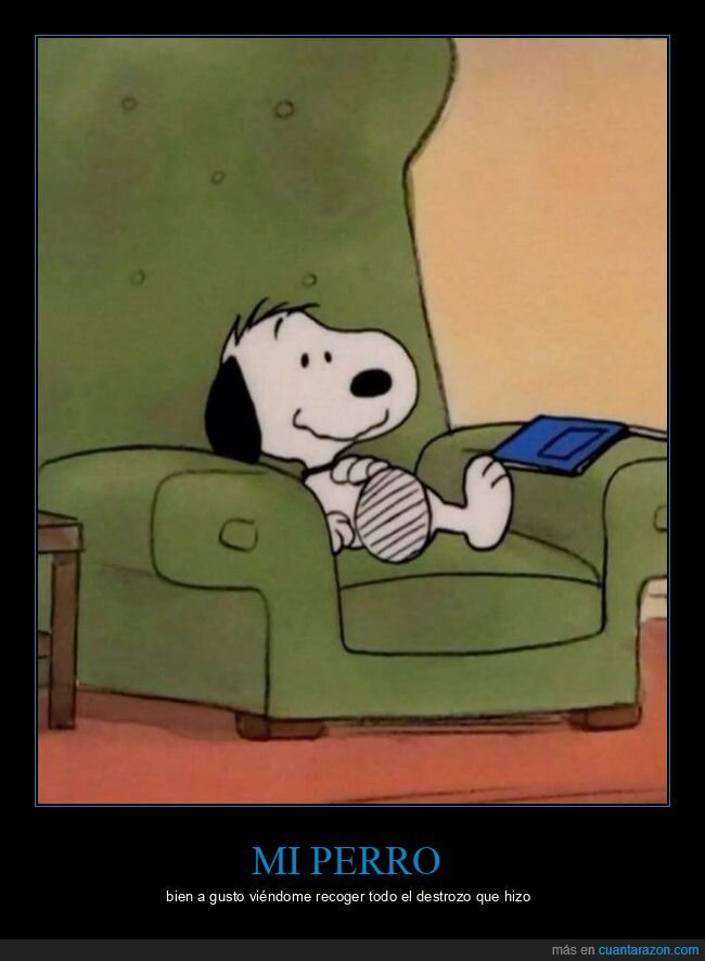 perro,snoopy,destrozo,sofá