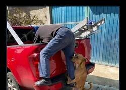 Enlace a No es lo que estabas pensando, no se quiere trincar la pierna