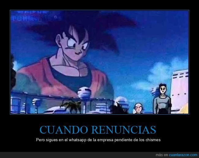 renunciar,trabajo,chismes