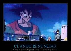 Enlace a Una cosa es trabajo, la otra vicio