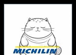 Enlace a Yo pago lo que haga falta por unos michilin