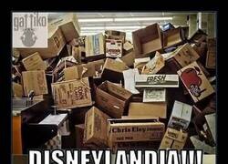 Enlace a Disneylandia para los gatos