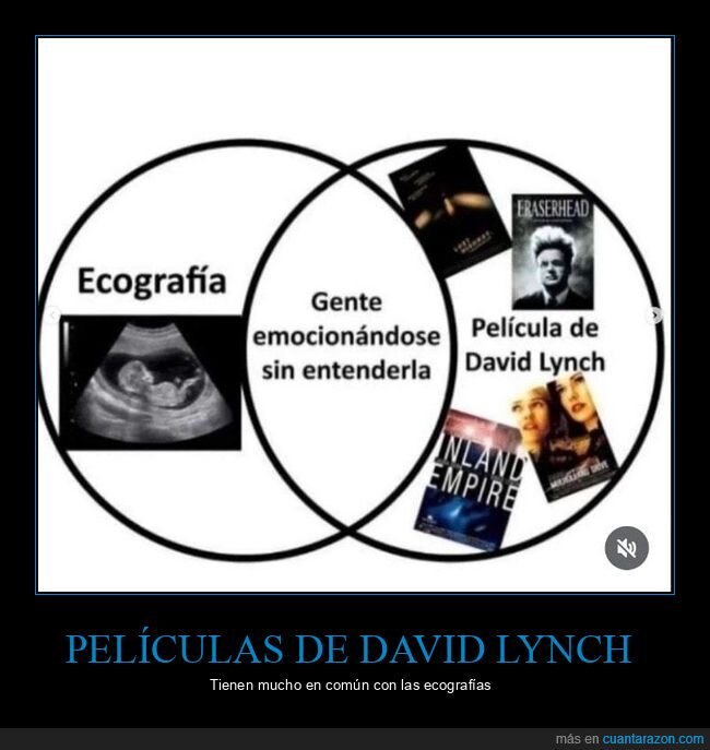 cine,david lynch,ecografía,en común