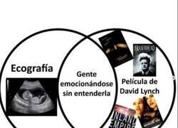 Enlace a Algo en común
