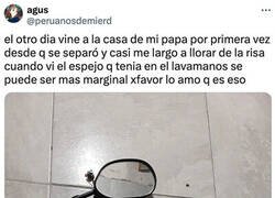 Enlace a Espejo de divorciado