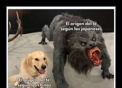 Enlace a El origen del té según chinos y japoneses