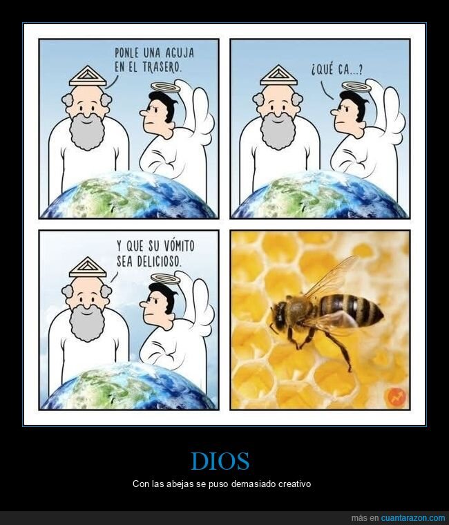 abeja,dios