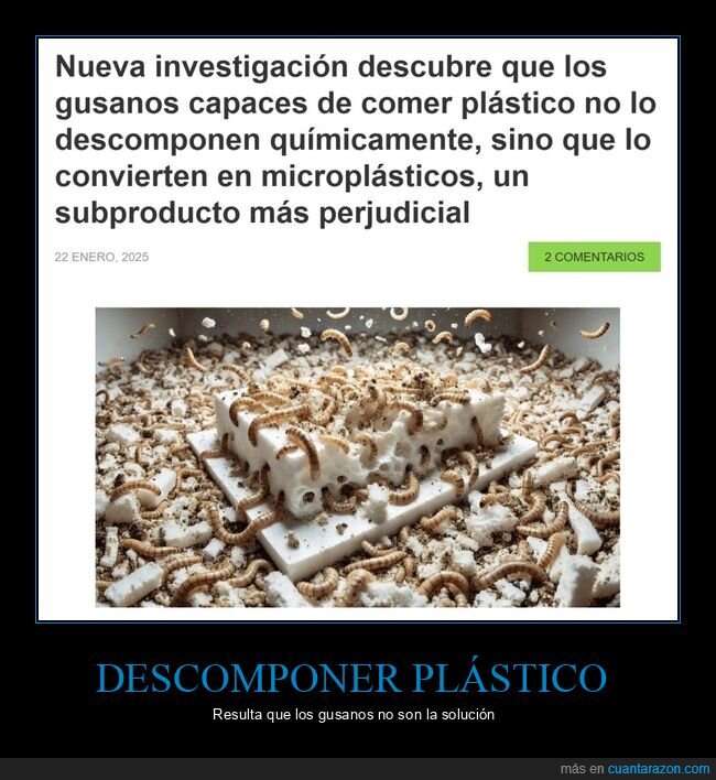 gusanos,plástico,microplásticos