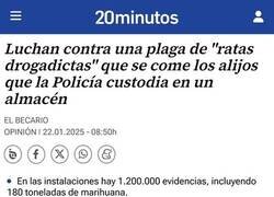 Enlace a Culpando a las ratas
