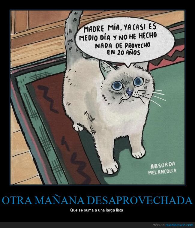 20 años,hacer algo,mediodía