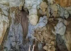 Enlace a Formas caprichosas de la naturaleza