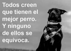 Enlace a Nadie se equivoca