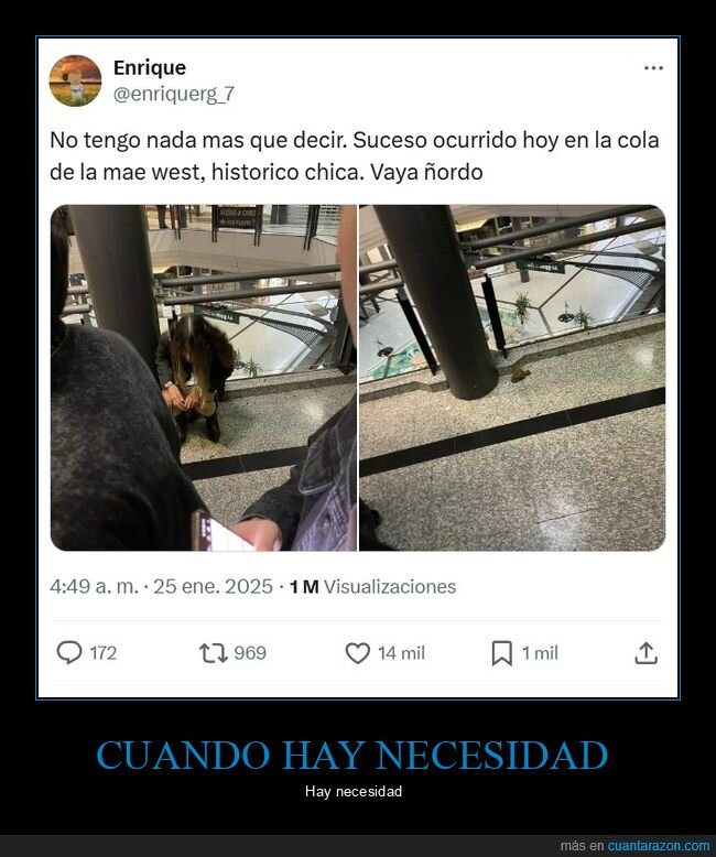 cagando,centro comercial