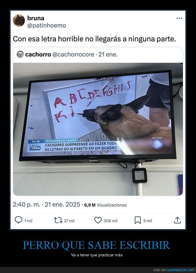 escribir,letras,perros