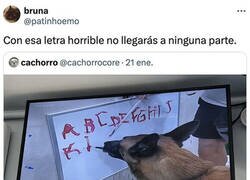 Enlace a Este perro ha aprendido a escribir todas las letras del abecedario en un cuadro