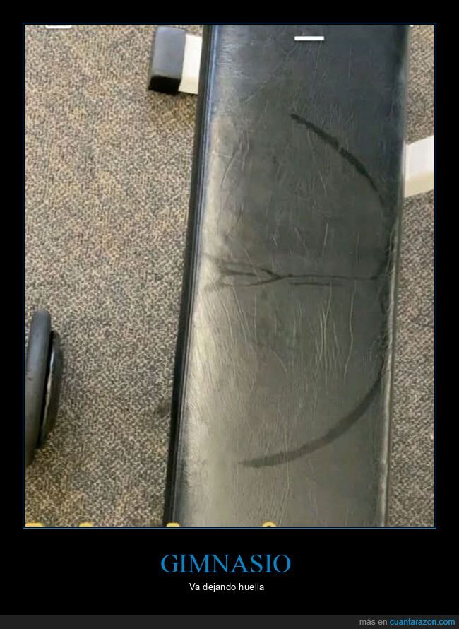 gimnasio,sudor,wtf