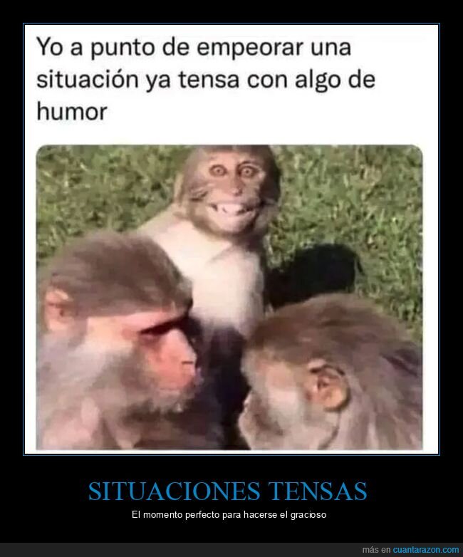 empeorar,humor,monos,situación