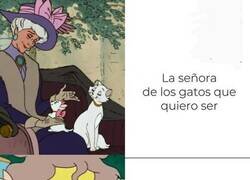 Enlace a Expectativas VS Realidad