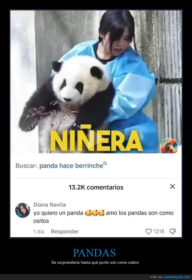 pandas,ositos,comentarios