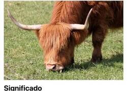 Enlace a Típicas frases populares que solemos decir cuyo origen seguramente no sabías